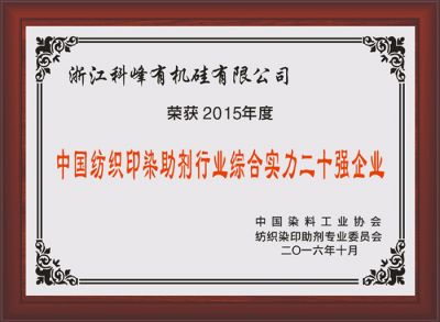 2015二十強